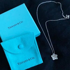 Tiffany & Co. Star Pendant by Elsa Peretti